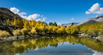 Spiti Valley Summer Group Tours