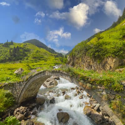 Meghalaya