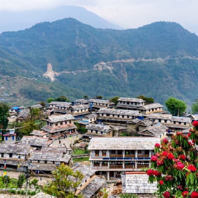 Nepal