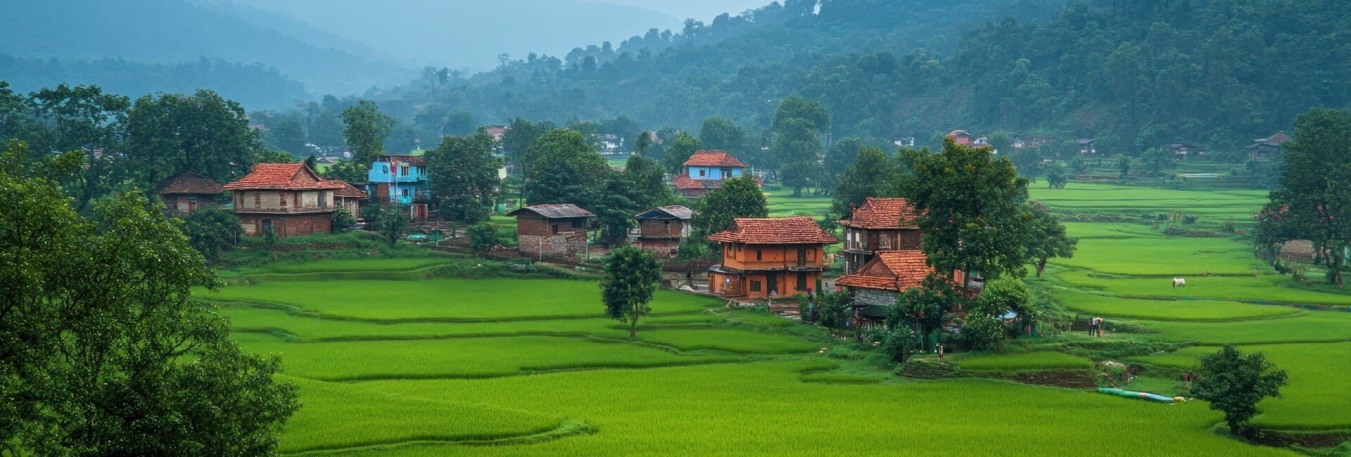 Assam