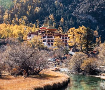 Perfect Bhutan Tour