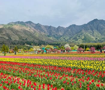 Leh Ladakh Package From Srinagar