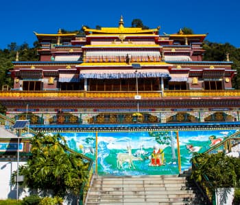 Darjeeling & Gangtok Tour