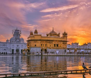 Best Seller Shimla - Manali Tour