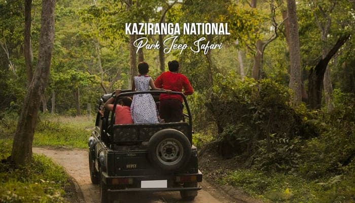 Kaziranga National Park Jeep Safari