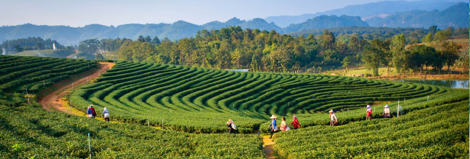 Best Of Shillong