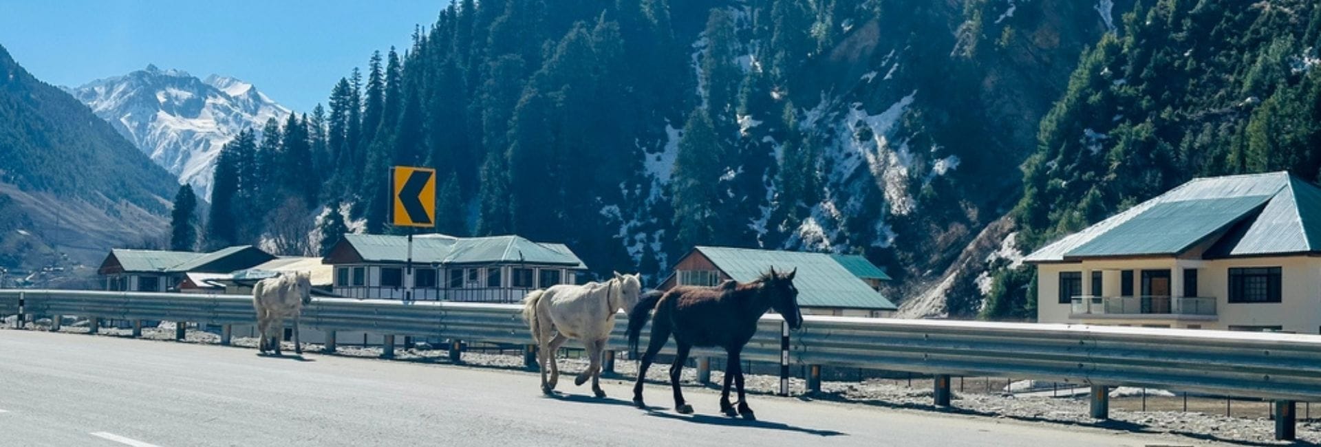Srinagar With Gulmarg & Pahalgam