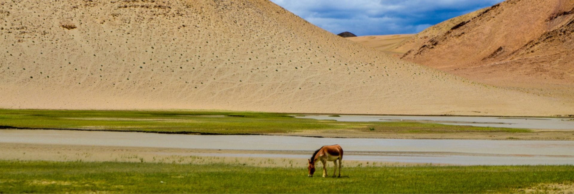 Leh Ladakh Tour With Hanle