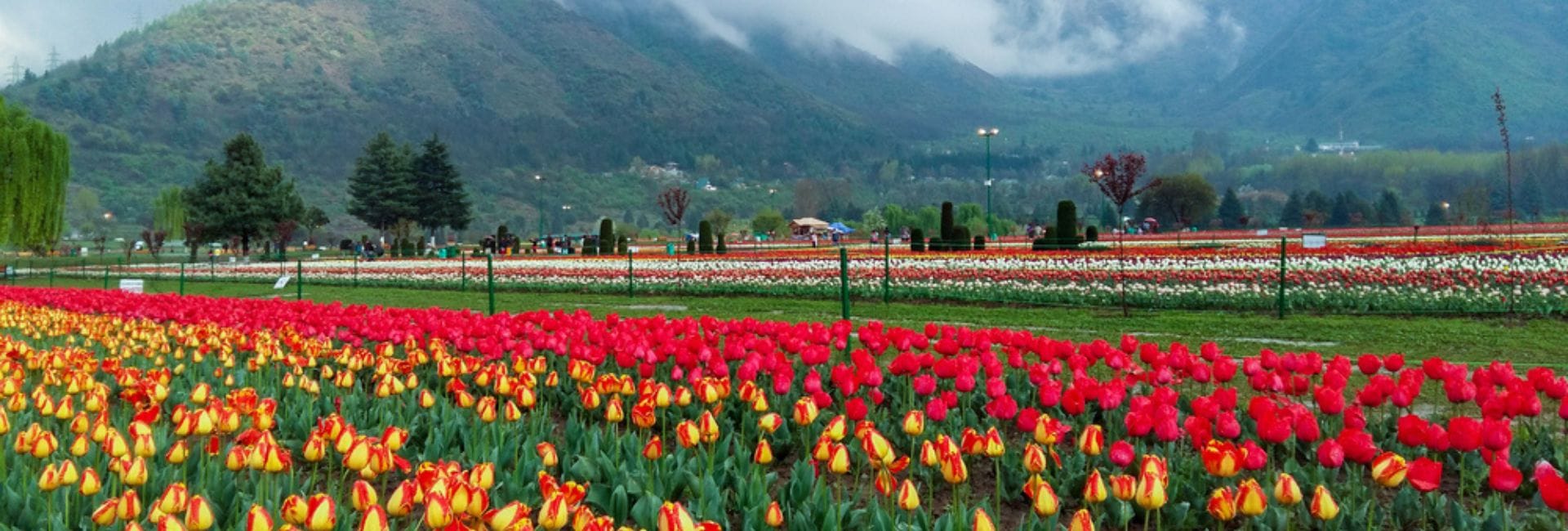 Leh Ladakh Package From Srinagar