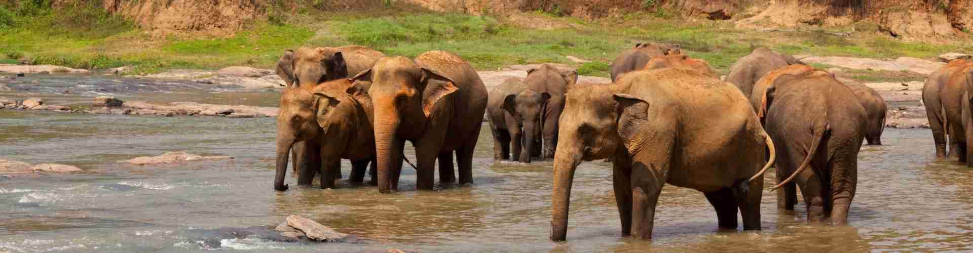 Sri Lanka Tour 5N 6D