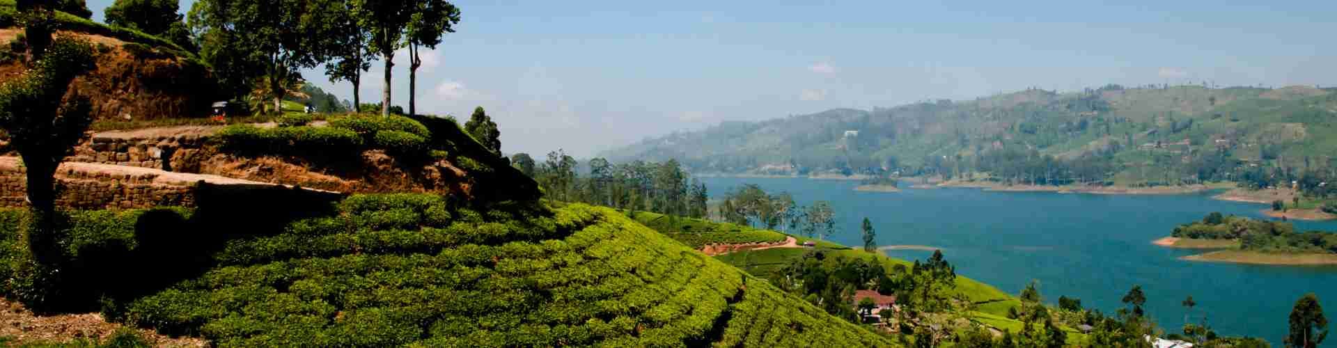 Sri Lanka Tour 6N 7D With Yala