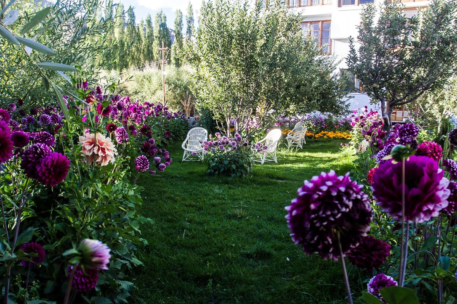 Garden View