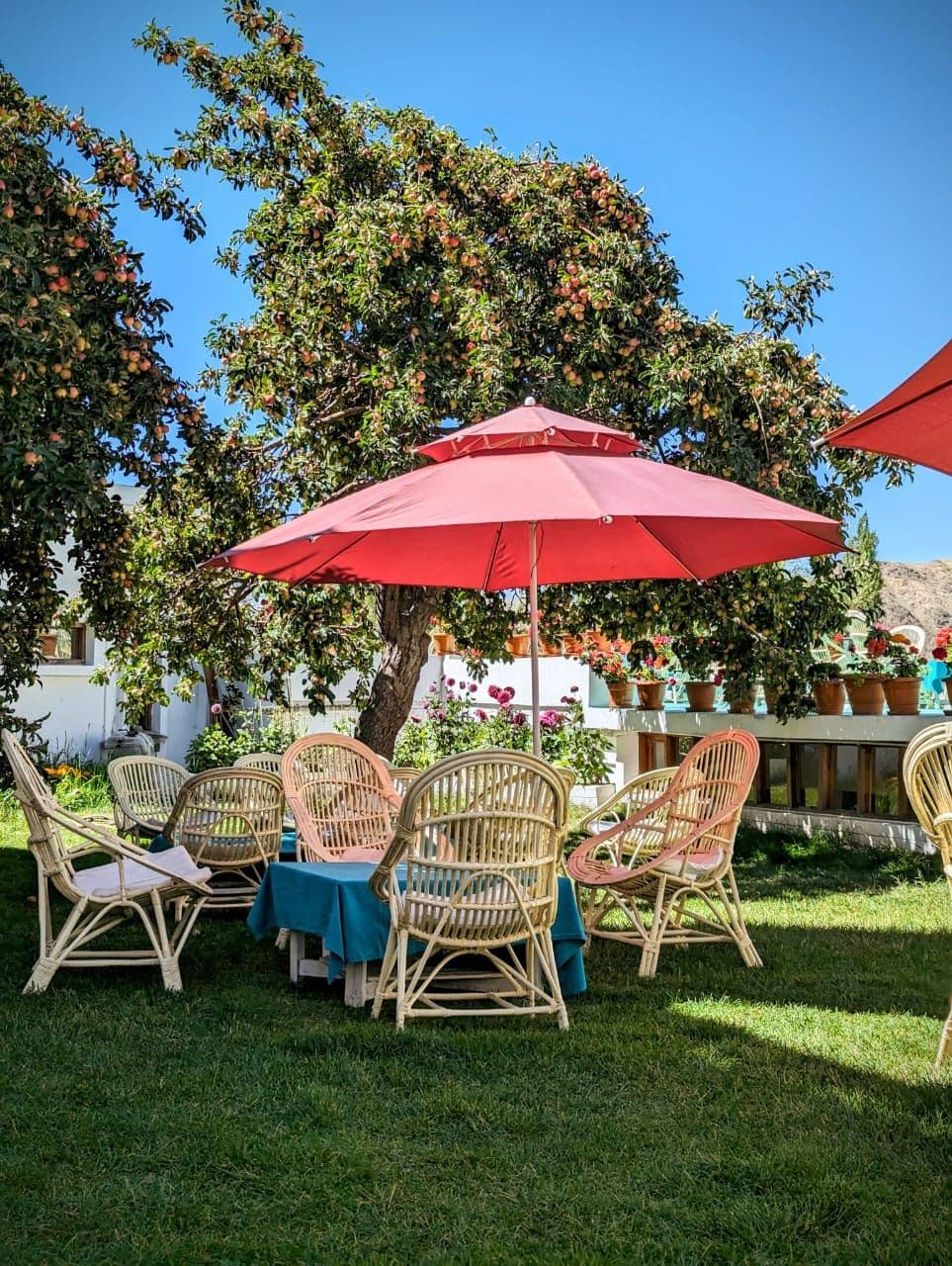 Outdoor Seating Area