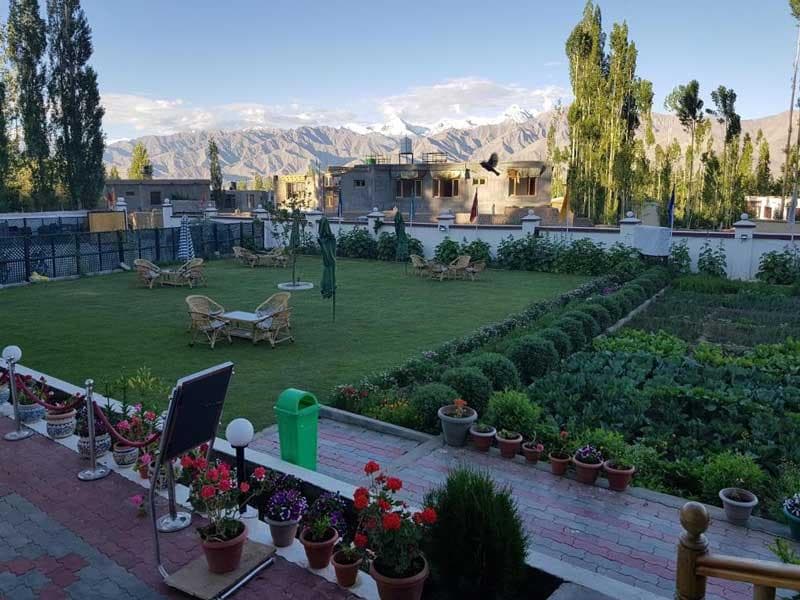 garden view
