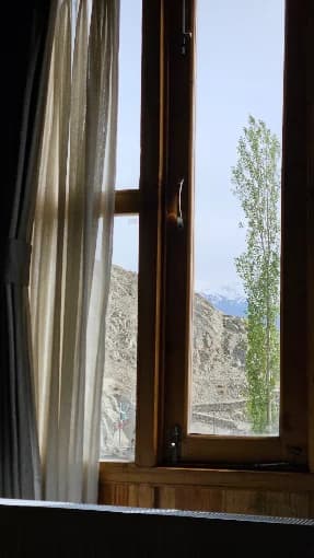 Window View
