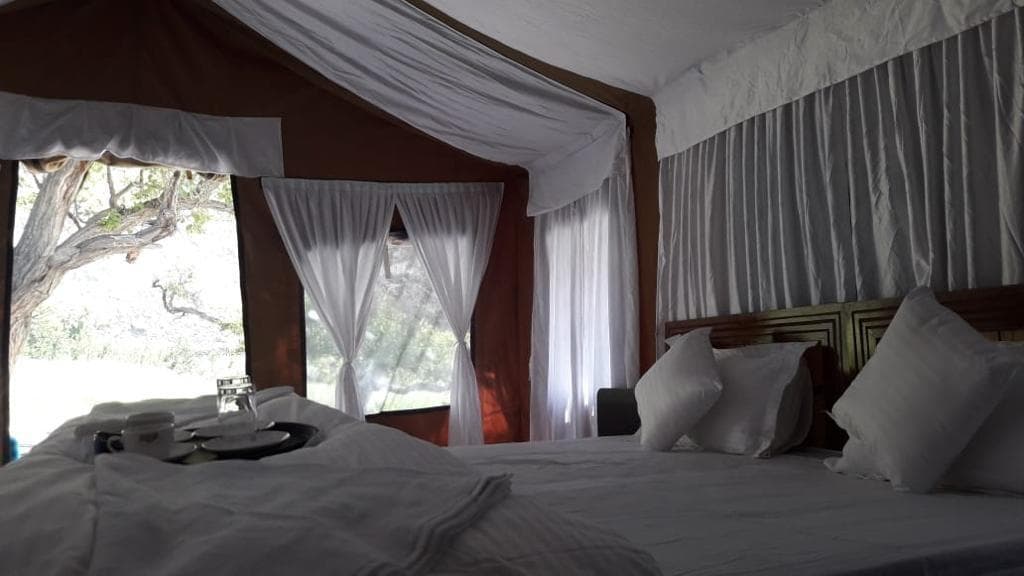 Camp View