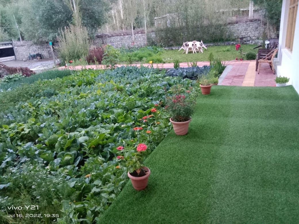 Garden View