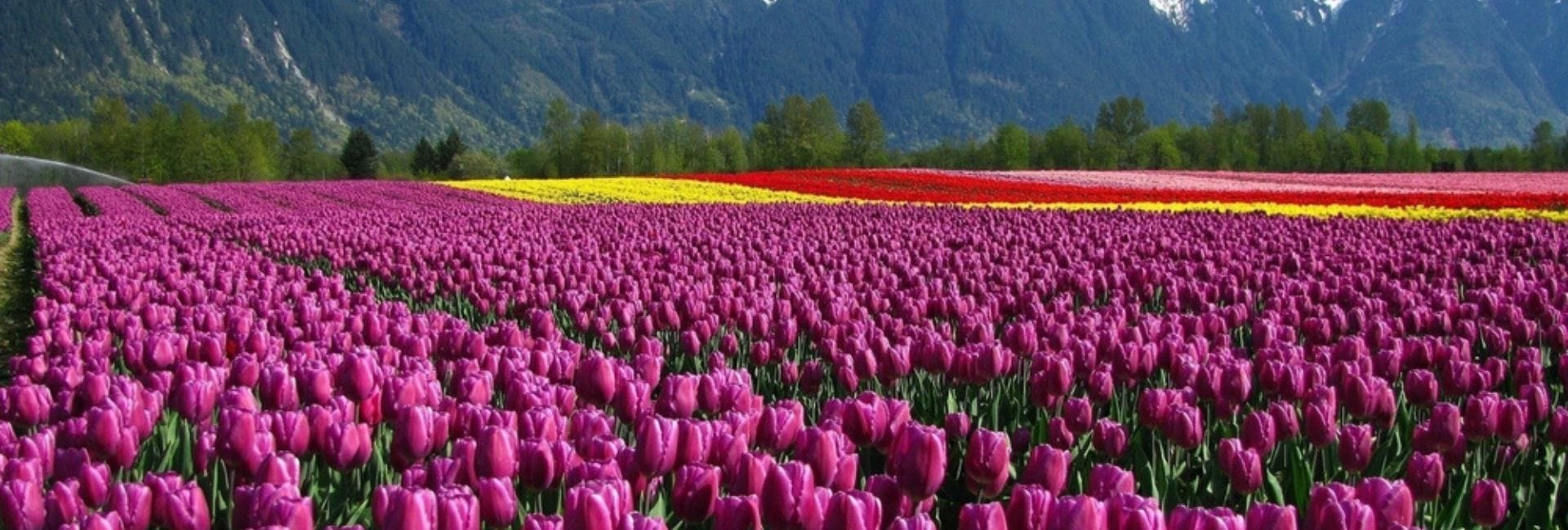 Kashmir With Hidden Gems