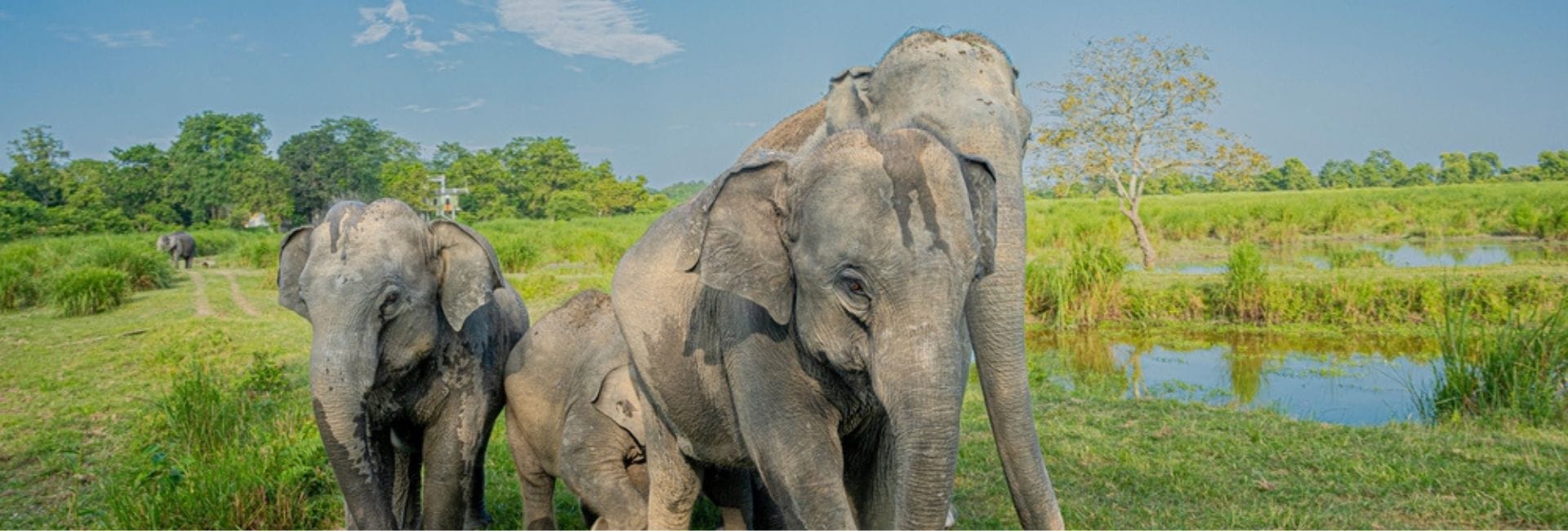 Meghalaya With Kaziranga National Park