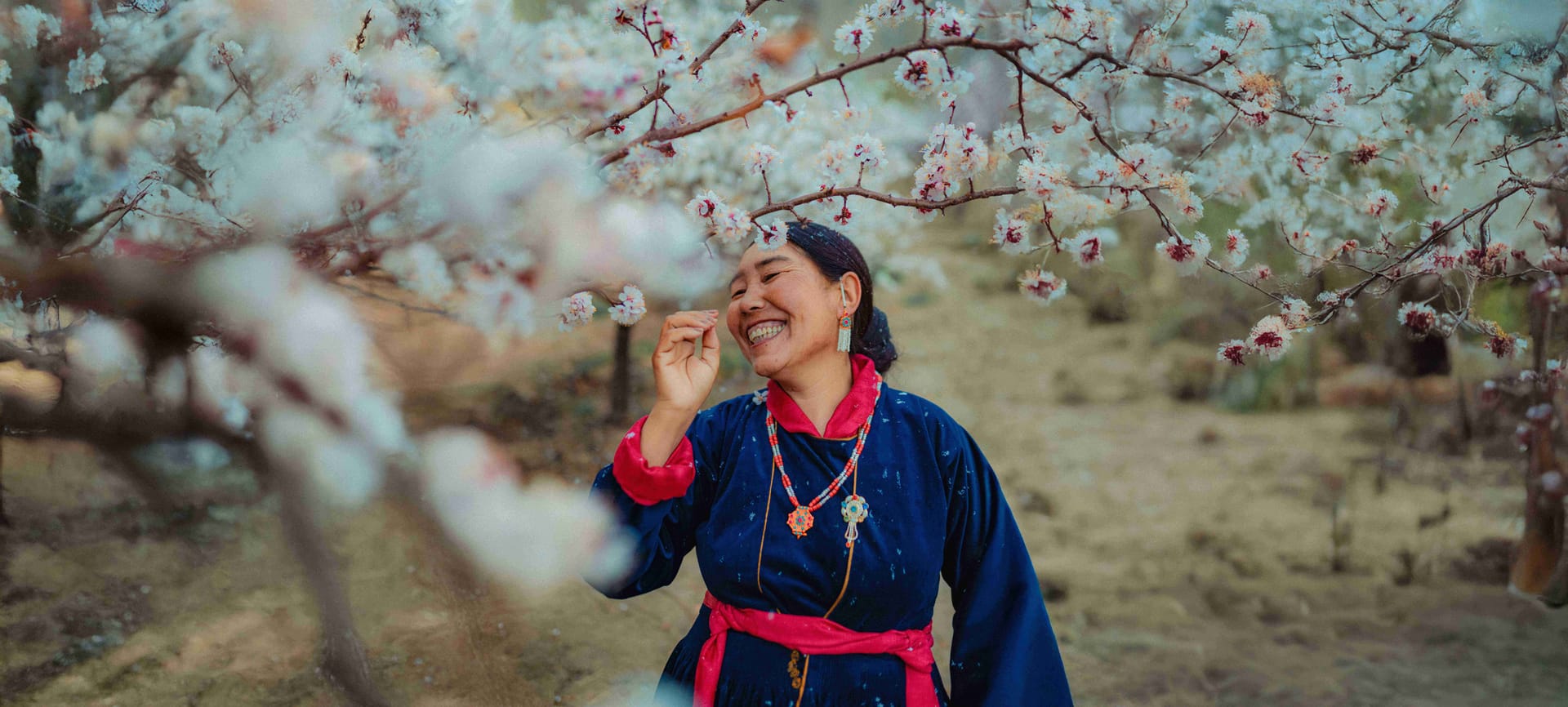 Apricot Blossom Festival Tour