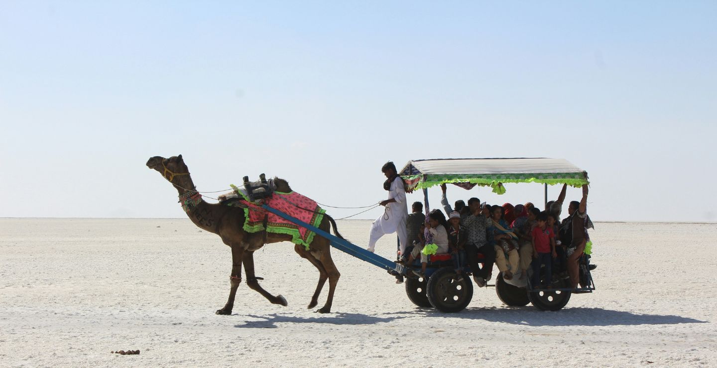 Rann Of Kutch