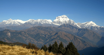 Nepal Chitwan Tour