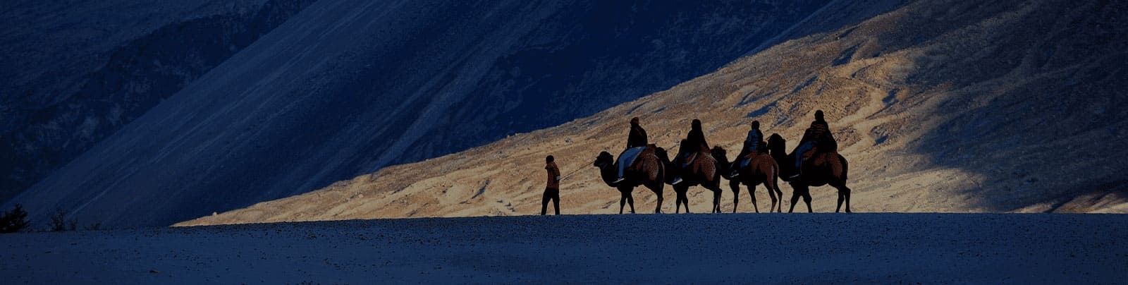 Ladakh Customize Tour