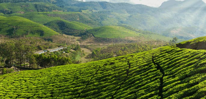 Kerala Munnar Tour