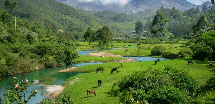 Kerala Munnar Tour